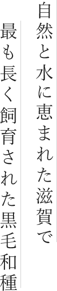 自然と水に恵まれた滋賀で最も長く飼育された黒毛和種