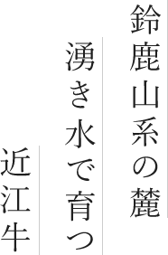 鈴鹿山系の麓　湧き水で育つ近江牛