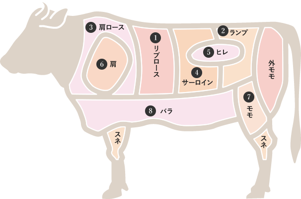 牛肉の部位